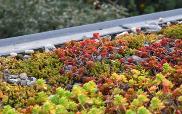 the cost of Southsea green roof installation