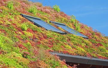 Southsea living roof systems