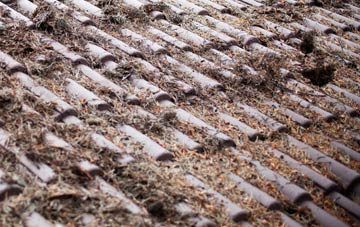 Southsea roof cleaning companies